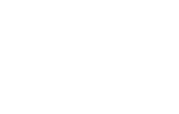 The City College of New York - Logo White