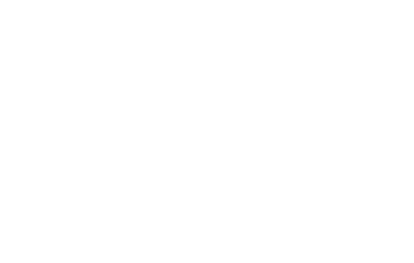 Baruch College - Logo White