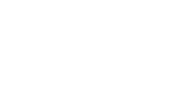 Bronx Community College - Logo White