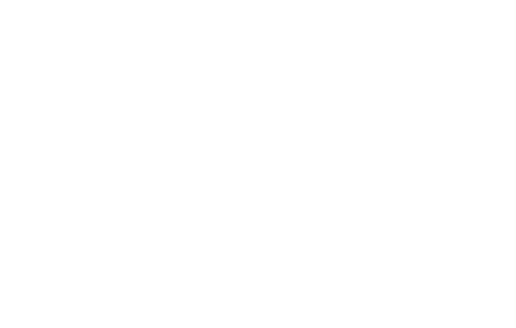 Hostos Community College - Logo White