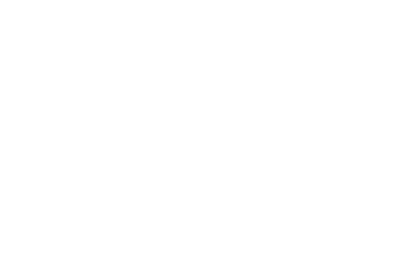 Hunter College - Logo White