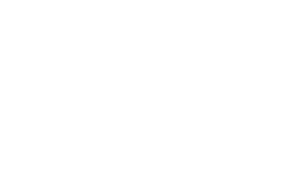 Lehman College - Logo White