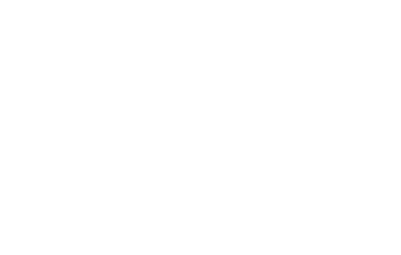 New York City College of Technology - Logo White