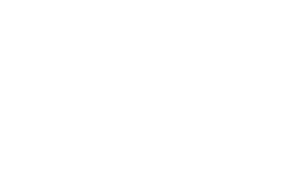 York College - Logo White