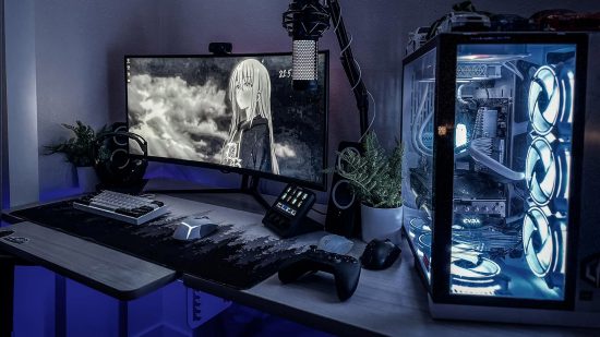 Ferns PC gaming setup