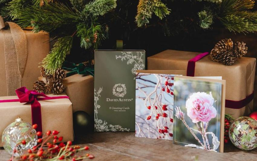 The perfect gifts for gardeners this Christmas