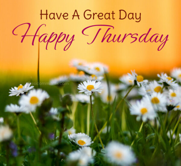 Hyave A Great Day Happy Thursday