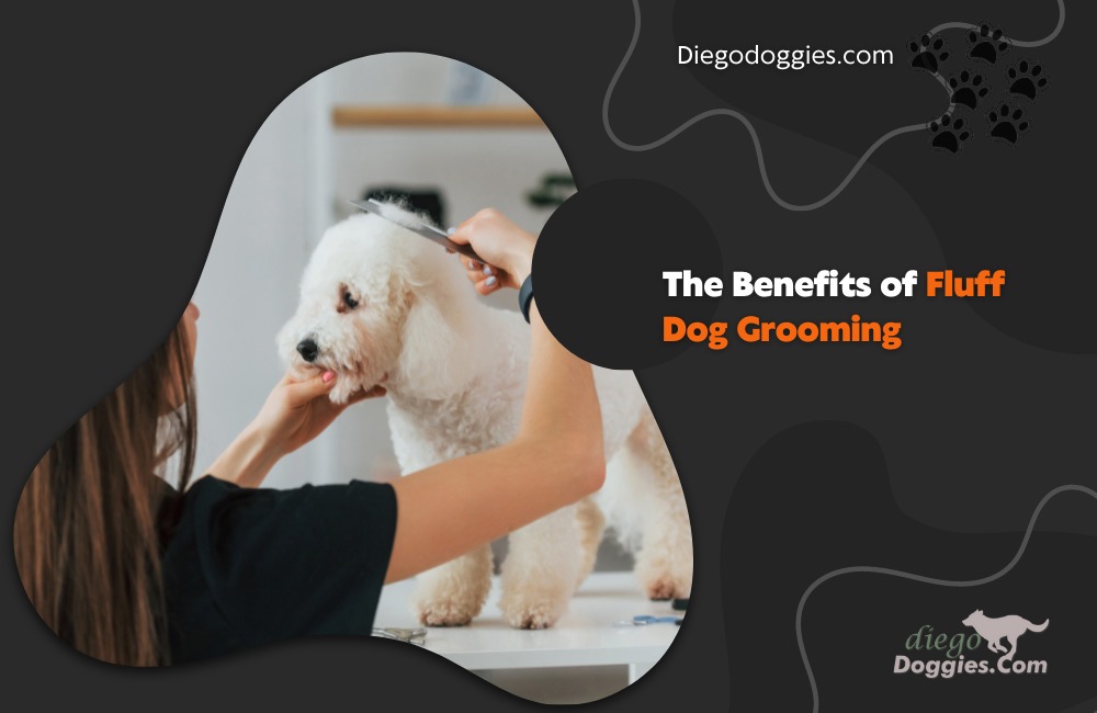 Fluff Dog Grooming