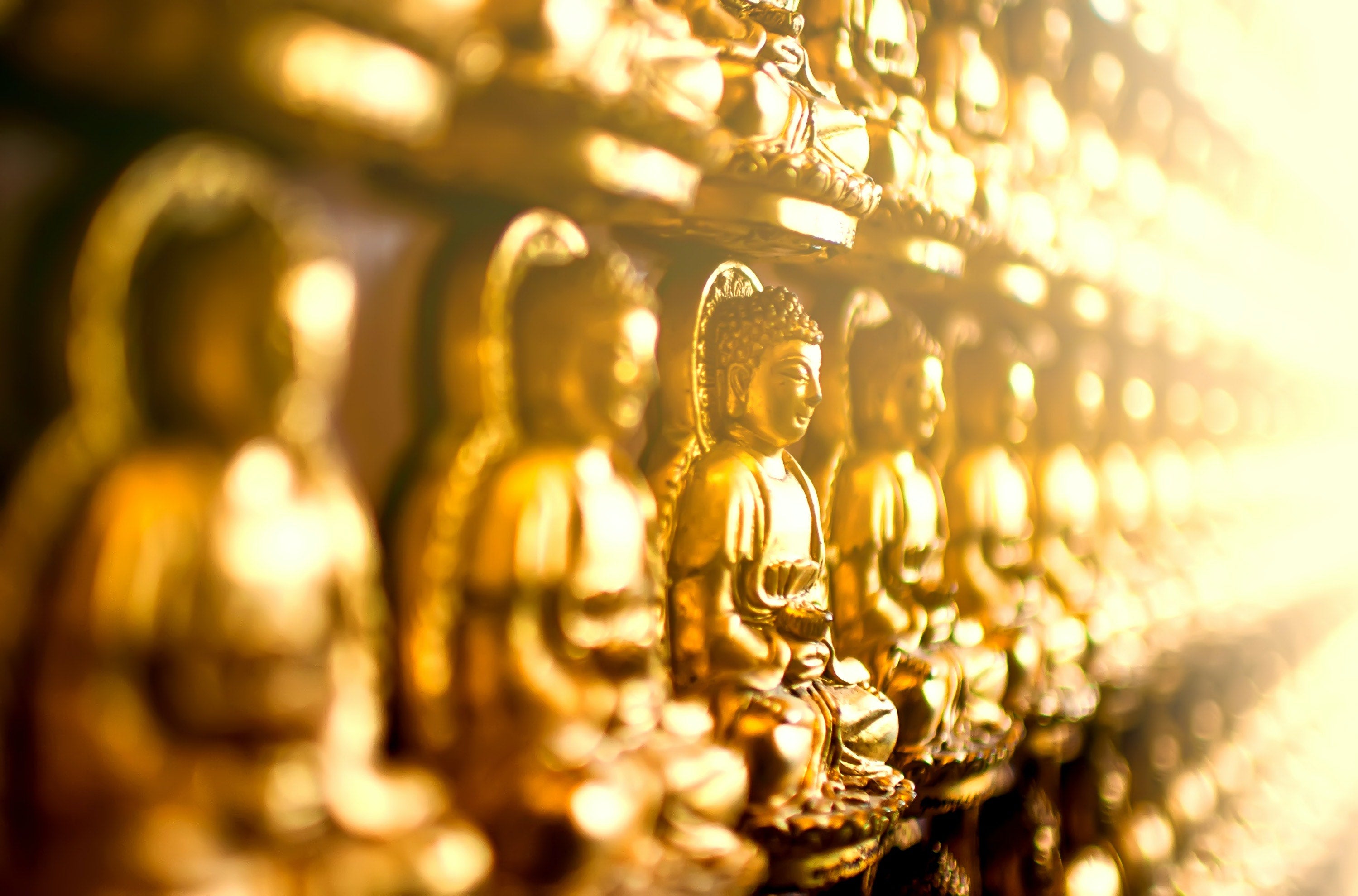 Buddha Statues