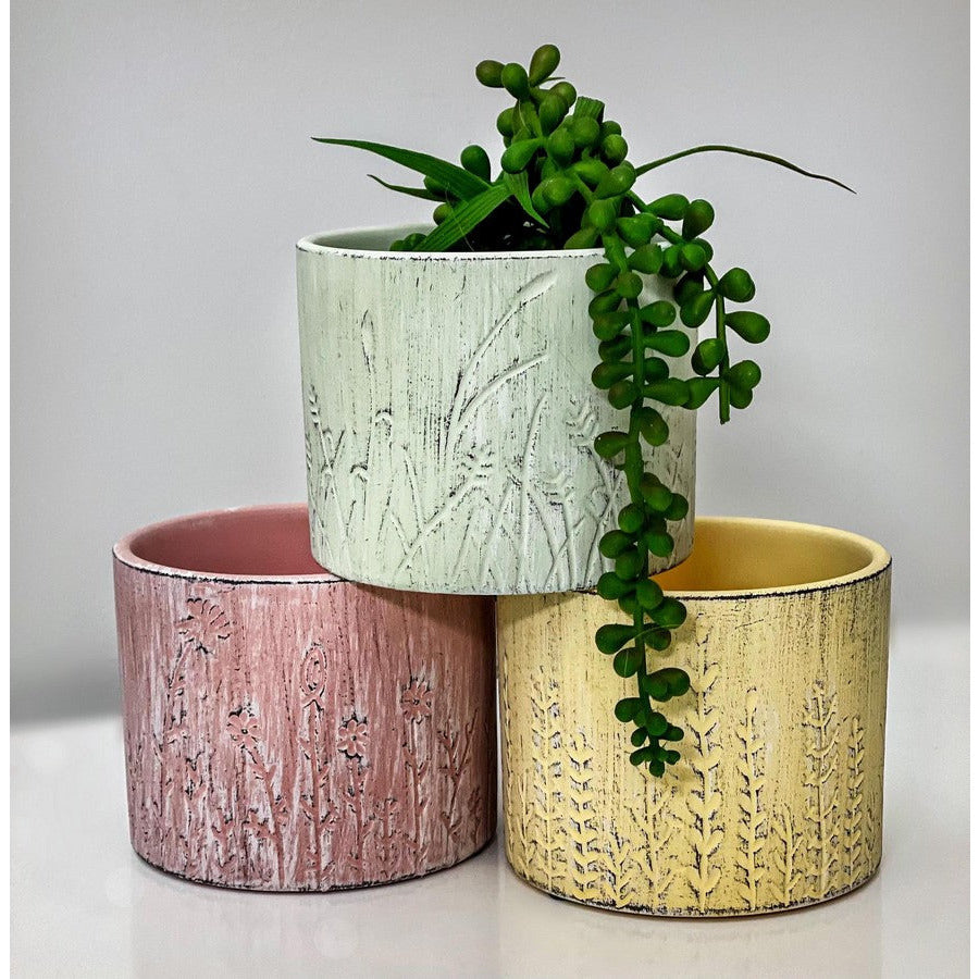 Terracotta Pot Fern Design - Dollars and Sense