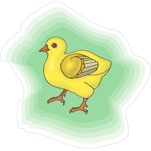 Baby Chick With Green Background PNG images