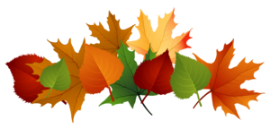 Autumn Leaves PNG Transparent Image PNG Clip art