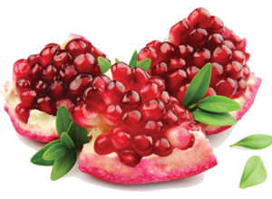 Pomegranate PNG Image PNG Clip art