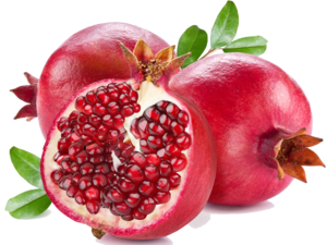 Pomegranate PNG Photos PNG Clip art