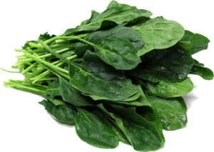 Spinach PNG File PNG Clip art