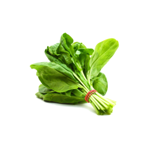 Spinach PNG HD PNG Clip art