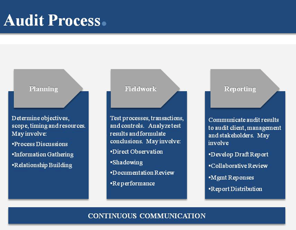 Auditing IT and Project Portfolios