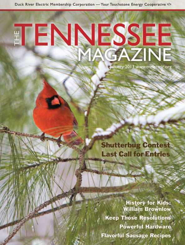 Tennessee Magazine cover for January 2013