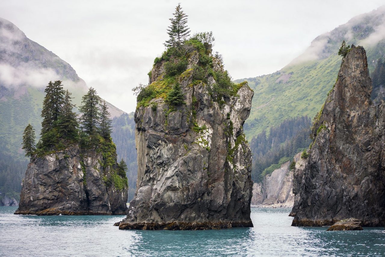 Glaciers and Orcas at Kenai Fjords National Park