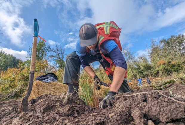 Nature Force partners transforming B.C. wetlands