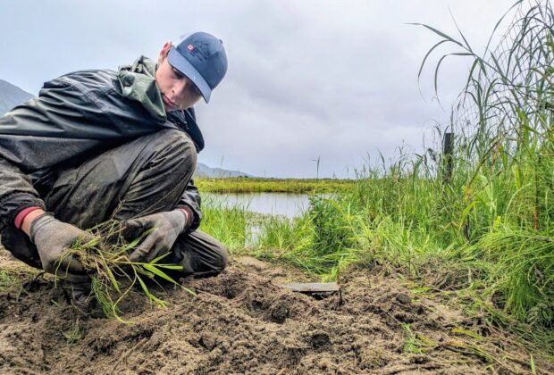 Room for reptiles: Building a home for threatened species in B.C.