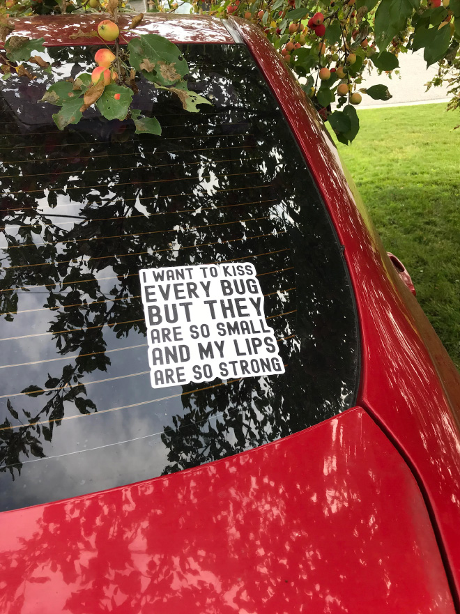 Awesome bumper sticker.