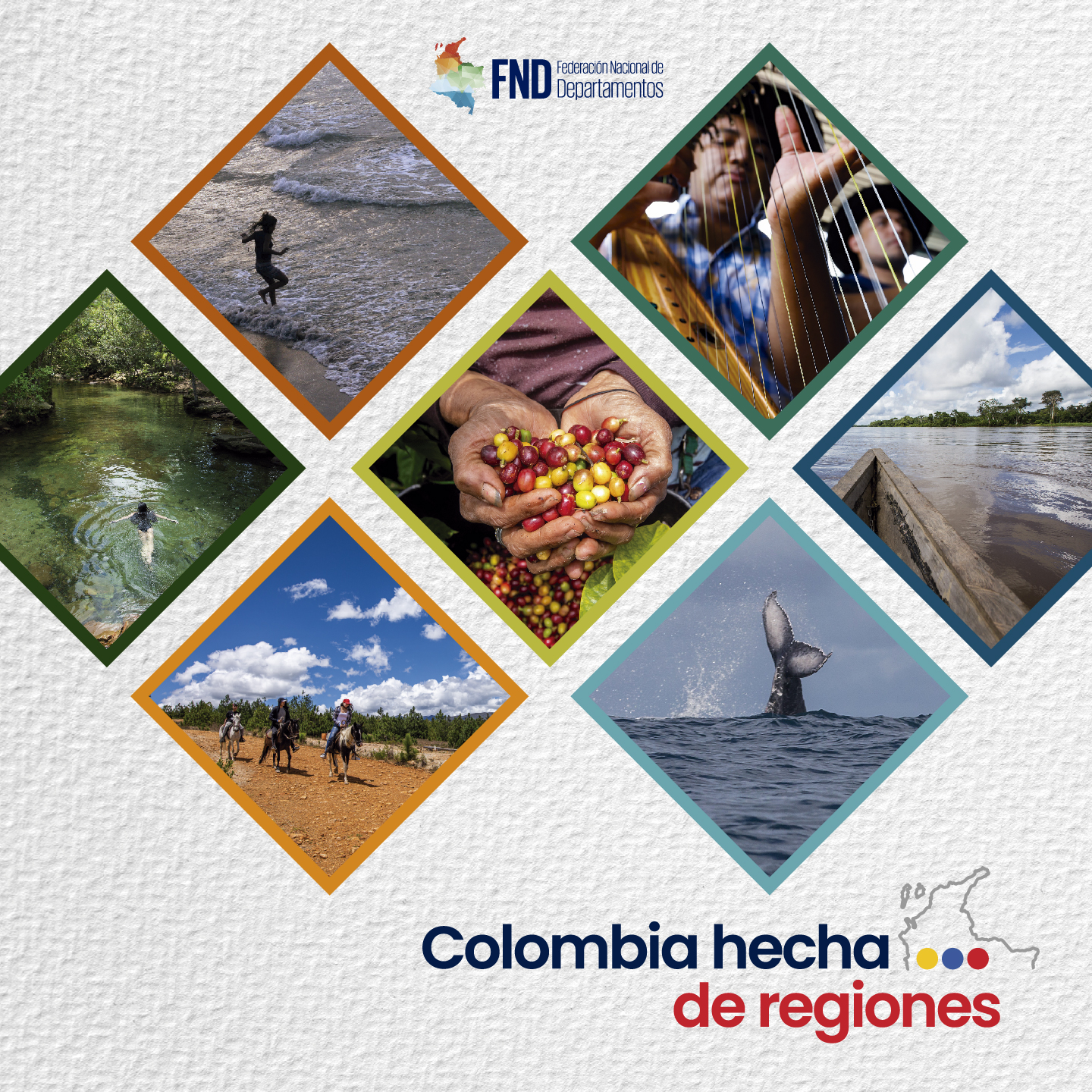 Imagen del especial FND hecho por grupo el colombiano