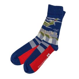 Plane Castle Socks Blue