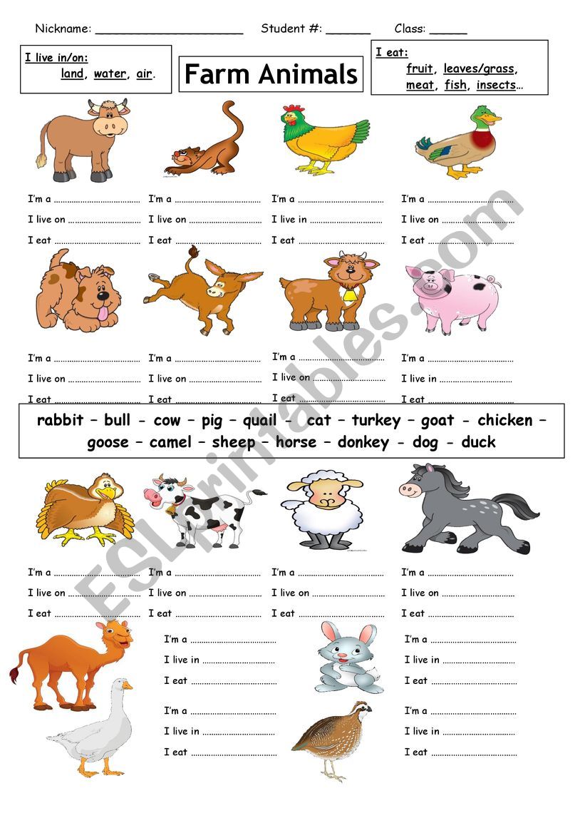 Farm Animals Activity For Kids