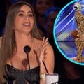 'AGT': Sofia Vergara Slams Golden Buzzer for 'Nonsense' Performance