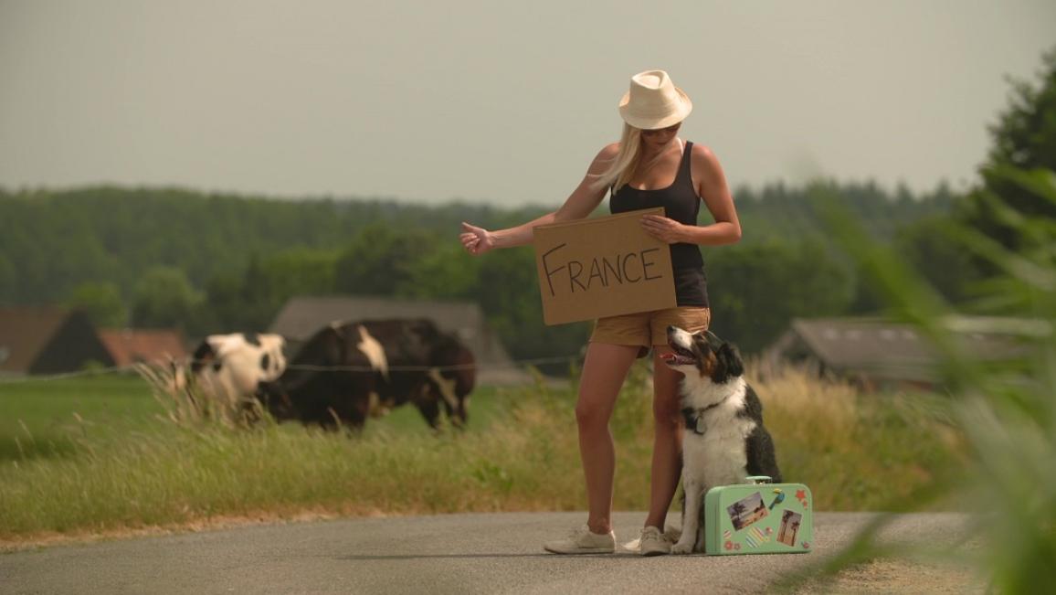 Os seus melhores amigos podem ir de férias consigo. O Parlamento Europeu quer tornar mais fácil viajar com os seus animais de estimação. Para viajar dentro da União Europeia, os animais de companhia necessitam de um passaporte Europeu para animais de estimação, microchips de identificação, e de vacinas contra a raiva. E não se esqueça do seu osso preferido!