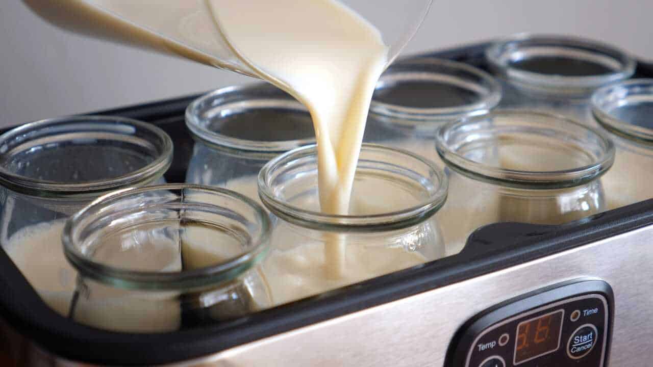Joghurtbereiter Test: Joghurtbereiter