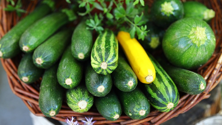 Fresh zucchini