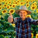 A smiling farmer does the thumbs up amid a field of blooming sunflowers.