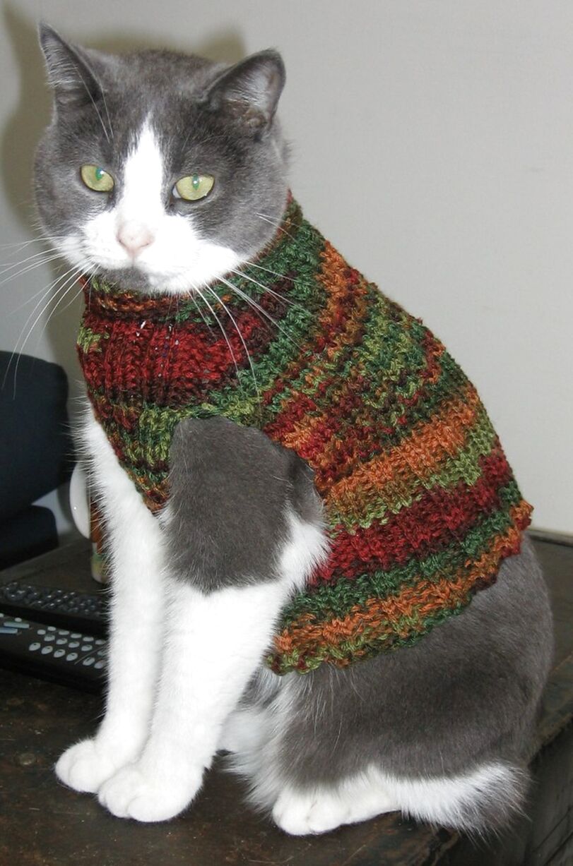 Cat Jumper Knitting Pattern for sale in UK | 63 used Cat Jumper ...