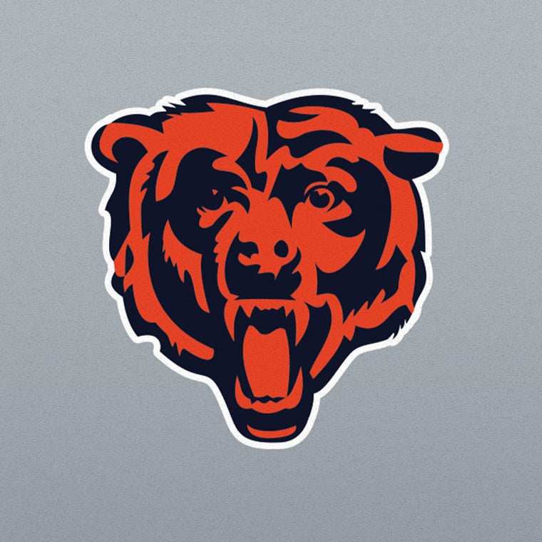 More Info for BEARS VS LIONS