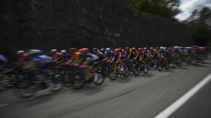 Le peloton lors de la 7e étape du Tour de France cycliste féminin, entre Champagnole et Le Grand-Bornand, le 17 août 2024. (photo d'illustration). (JULIEN DE ROSA / AFP)