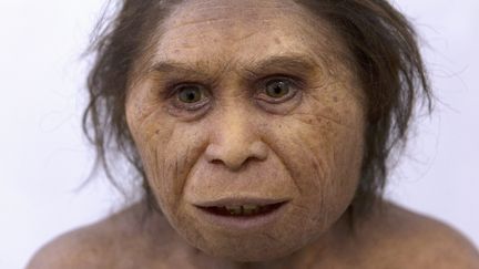 L'exposition Neandertal à la médiathèque Pierres Vives de Montpellier, le 23 avril 2019. (GUILLAUME BONNEFONT / MAXPPP)