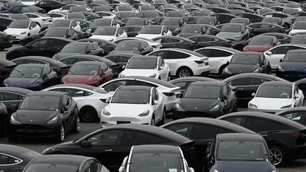 Des véhicules électriques Tesla stockés dans la zone du port de Zeebrugge, nord de la Belgique, le 21 juin 2024 (photo d'illustration). (JOHN THYS / AFP)