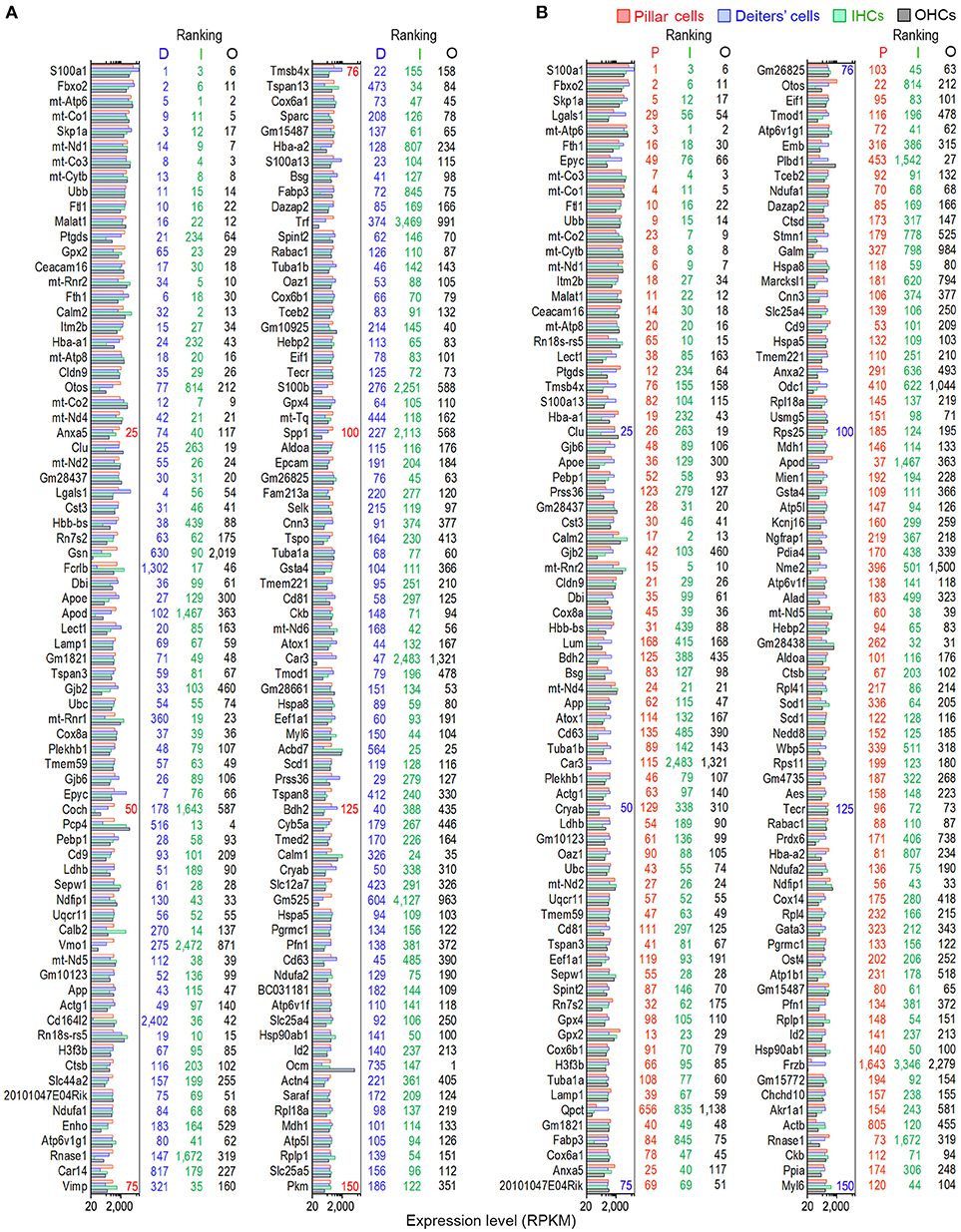 Frontiers | Cell-Specific Transcriptome Analysis Shows That Adult ...