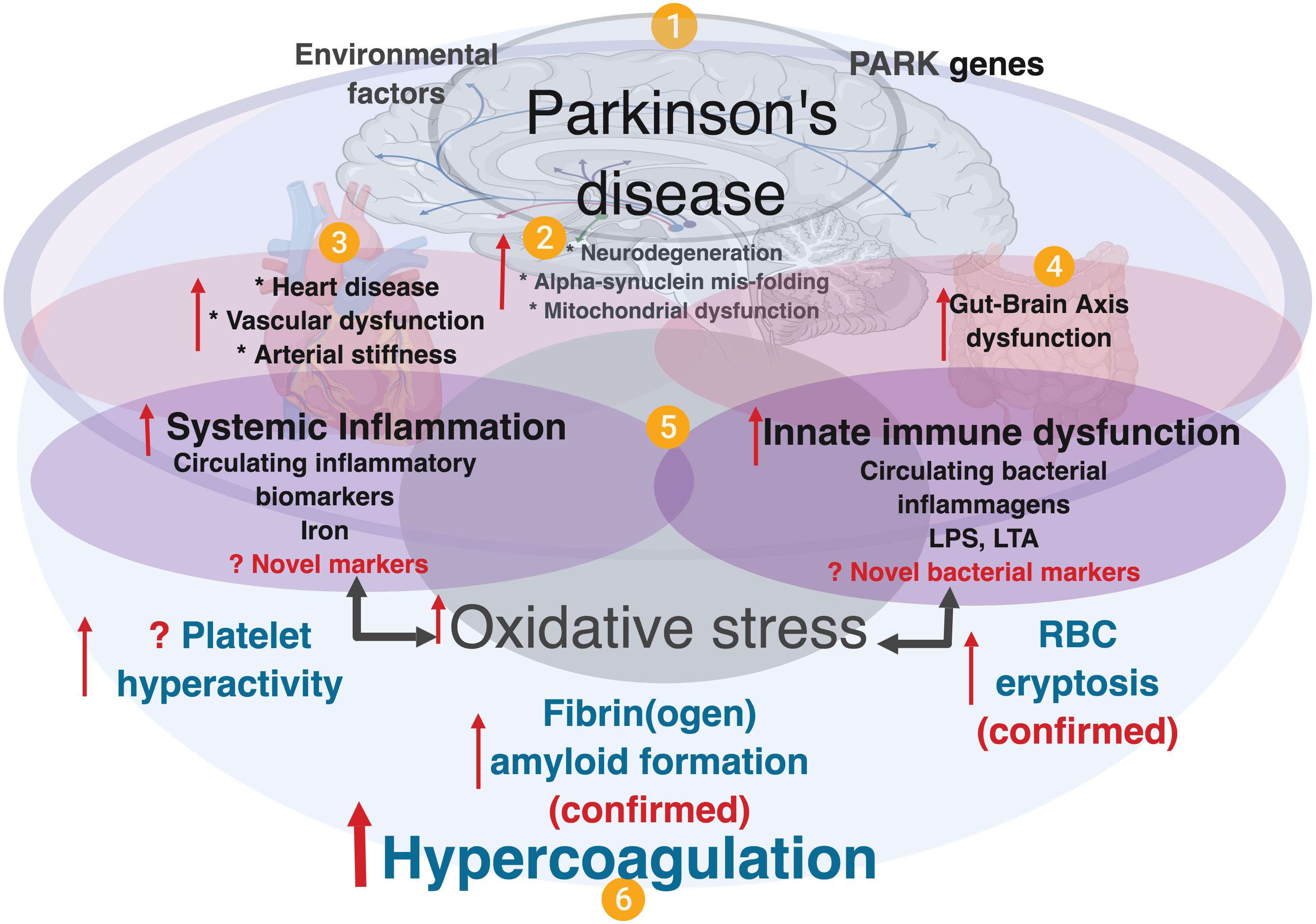 Parkinson's Disease Diagram