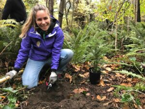 Planting a tree