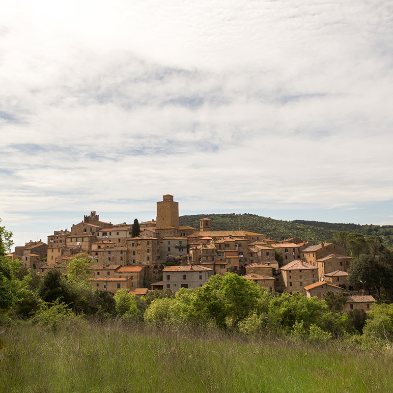 The tower in the heart of the Siena countryside