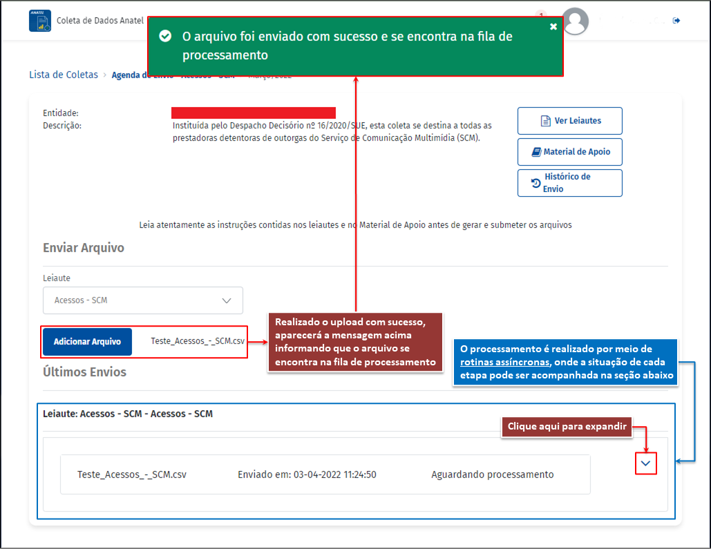 Figura 10