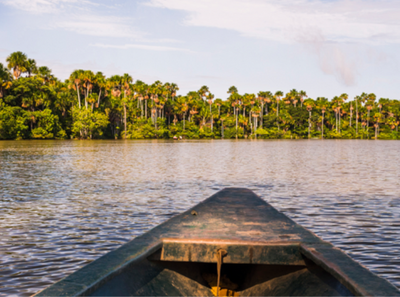 Foram selecionados 22 projetos voltados à ampliação do conhecimento sobre a sociobiodiversidade amazônica