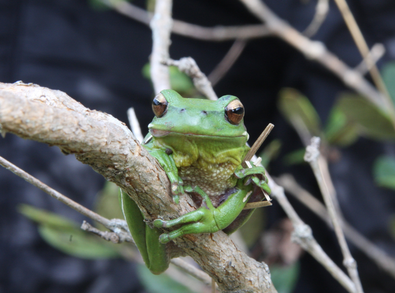 Programa Ecológico de Longa Duração terá 51 sítios em todos os biomas e regiões do país; confira o resultado