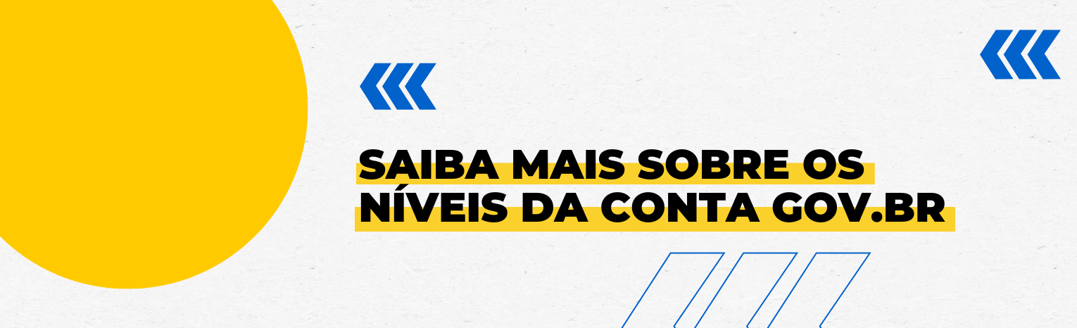 Saiba mais sobre os níveis da conta gov.br