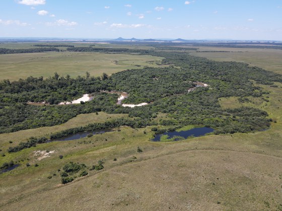 Ibama e Exército fiscalizam 2 mil hectares em recuperação ambiental no Pampa gaúcho