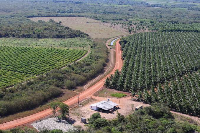 Consulta pública aberta para irrigação no norte do Piauí