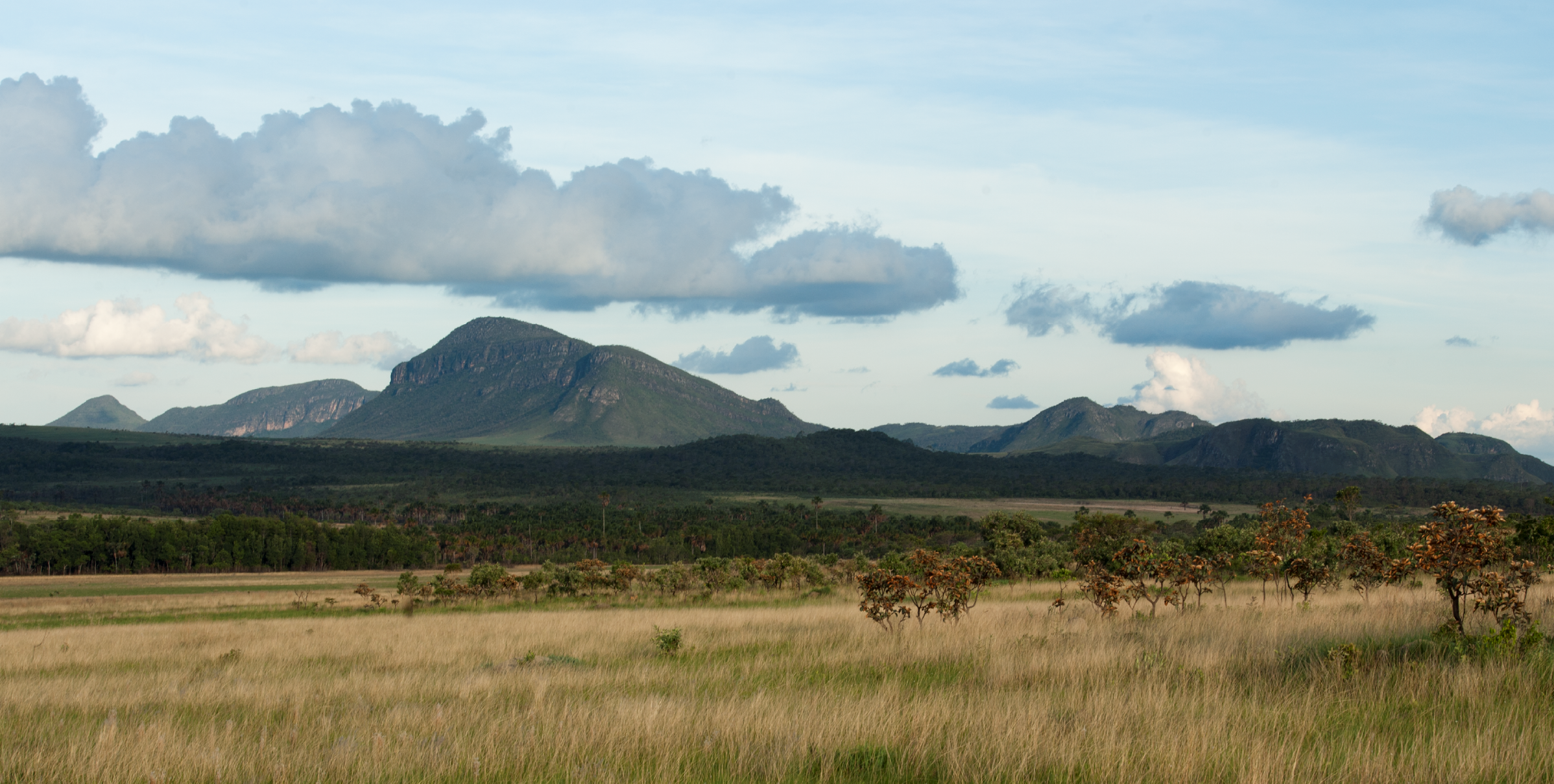 Dados do DETER estimam queda no desmatamento nos biomas do Pantanal, Cerrado e Amazônia no comparativo com o mesmo período de 2023